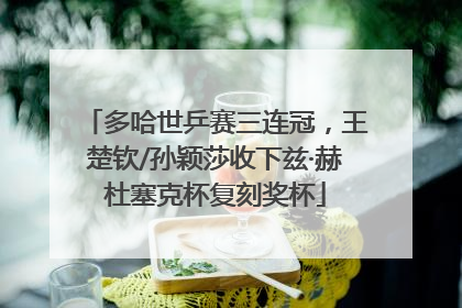 多哈世乒赛三连冠，王楚钦/孙颖莎收下兹·赫杜塞克杯复刻奖杯